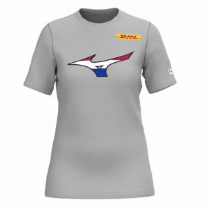 Mizuno Nevobo Nederland Tシャツ レディース グレー | JP-012567