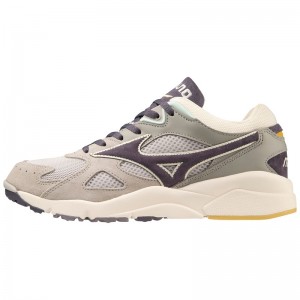 Mizuno Sky Medal Premium スニーカー レディース グレー 紫 | JP-589461