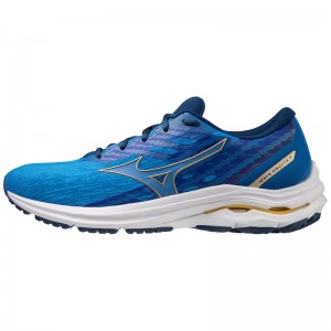 Mizuno Wave Equate 7 ランニングシューズ メンズ 青 ゴールド ゴールド | JP-693078