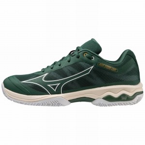 Mizuno Wave Exceed Light CC テニスシューズ メンズ 白 | JP-596307