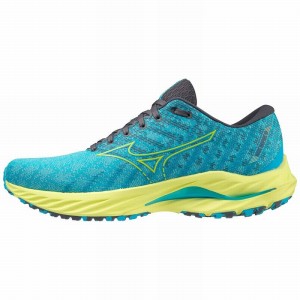 Mizuno Wave Inspire 19 ランニングシューズ メンズ 青 | JP-147209