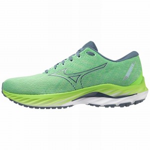 Mizuno Wave Inspire 19 ランニングシューズ メンズ 青 緑 | JP-038967