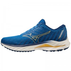 Mizuno Wave Inspire 19 ランニングシューズ メンズ 青 青 | JP-685329