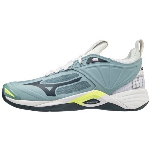 Mizuno Wave Momentum 2 バレーボールシューズ メンズ 青 白 | JP-837506