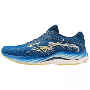 Mizuno Wave Rider 27 Amsterdam ランニングシューズ レディース ネイビー | JP-208946