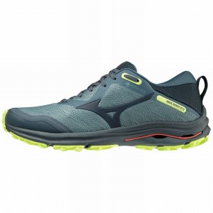 Mizuno Wave Rider GTX ランニングシューズ メンズ 緑 | JP-749805