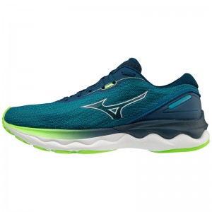 Mizuno Wave Skyrise 3 ランニングシューズ メンズ 青 | JP-139268