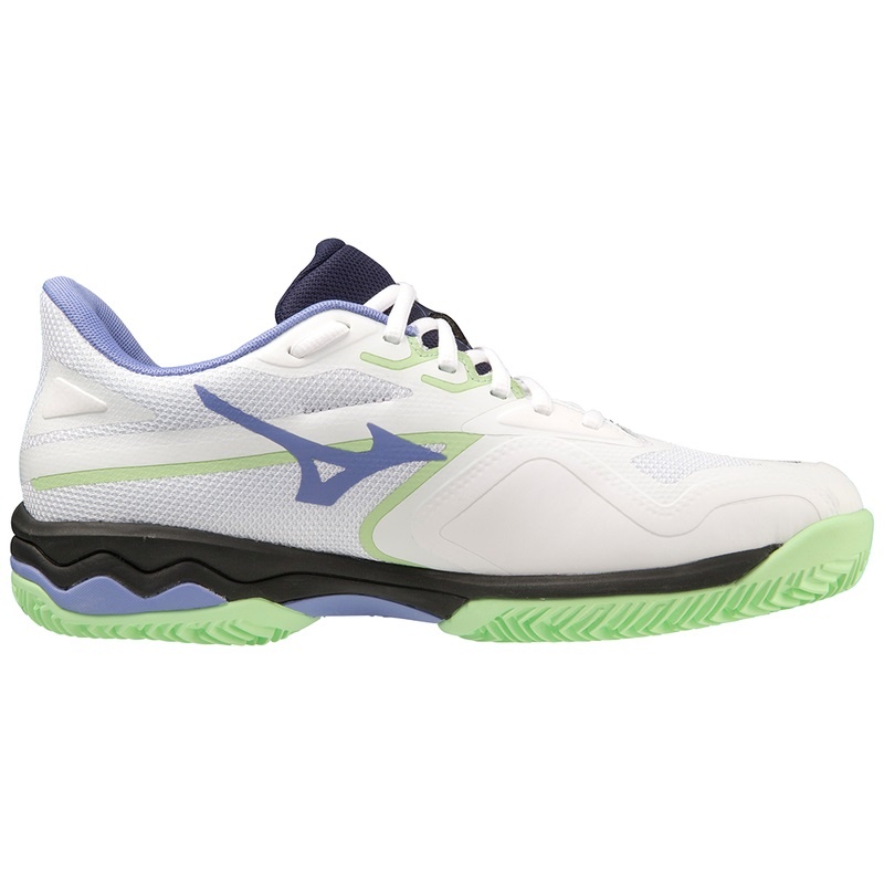 Mizuno Wave Exceed Light 2 パデルシューズ メンズ 緑 | JP-942835