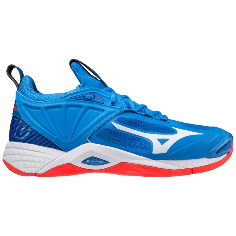 Mizuno Wave Momentum 2 バレーボールシューズ メンズ 青 | JP-417589