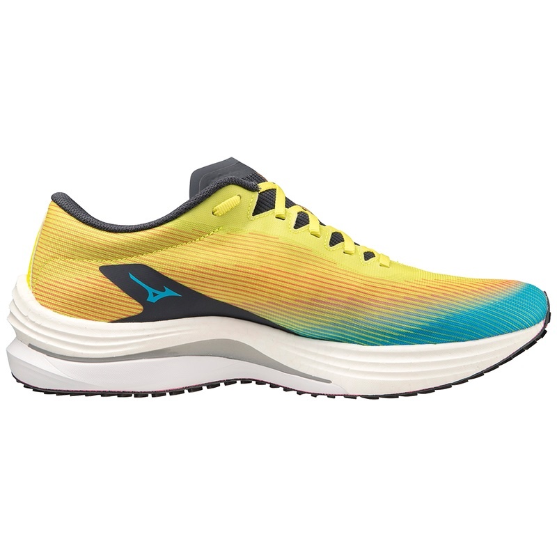 Mizuno Wave Rebellion Flash ランニングシューズ メンズ 青 青 | JP-079254