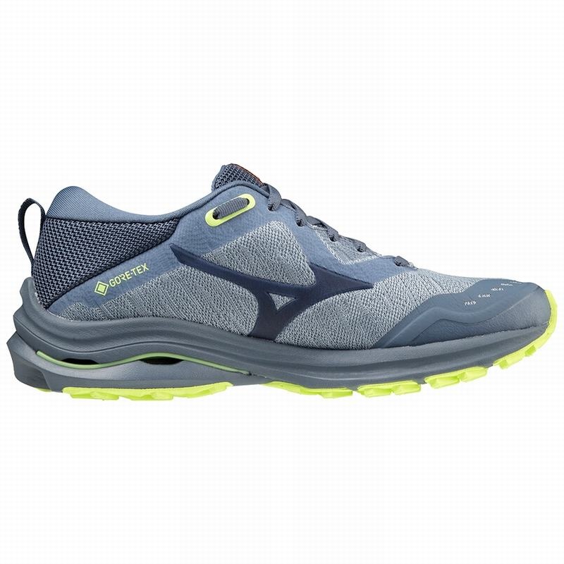 Mizuno Wave Rider GTX ランニングシューズ レディース 青 | JP-796231