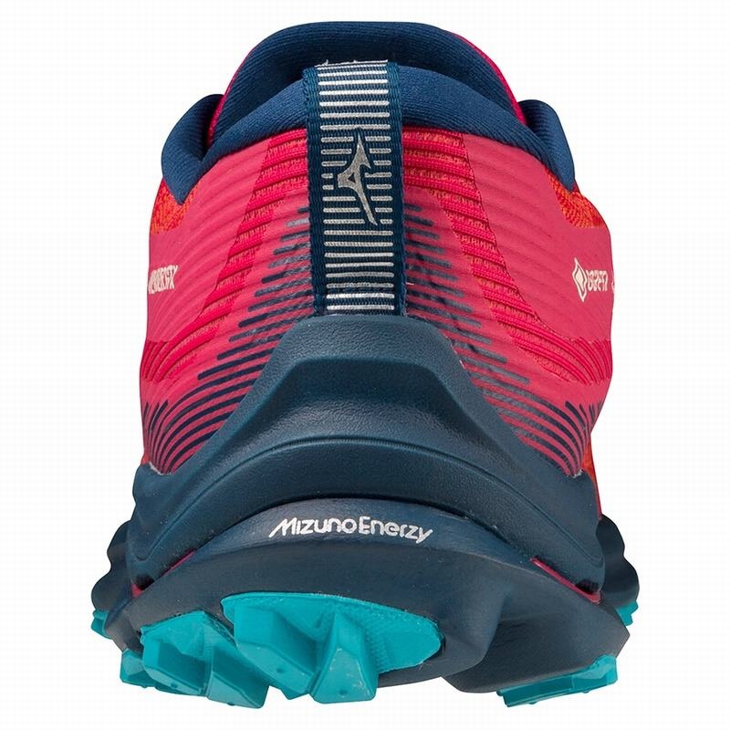 Mizuno Wave Rider GTX ランニングシューズ レディース 青 青 | JP-972630