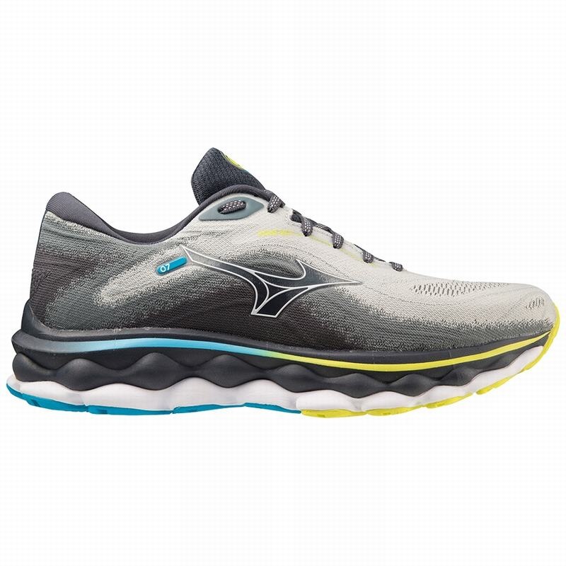 Mizuno Wave Sky 7 ランニングシューズ メンズ 青 白 | JP-725613