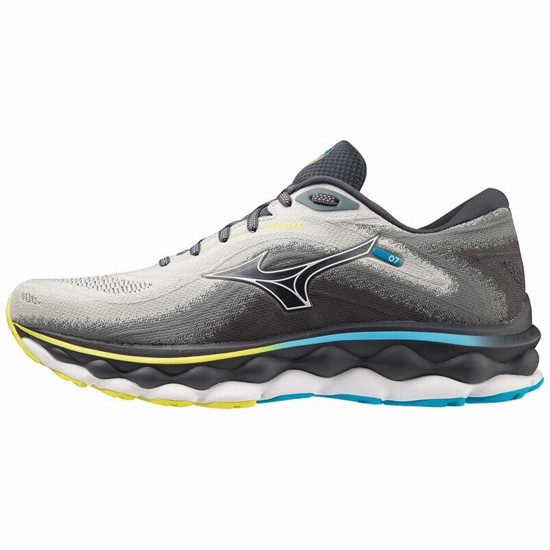 Mizuno Wave Sky 7 ランニングシューズ メンズ 青 白 | JP-725613